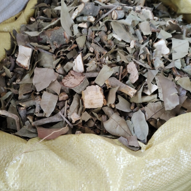 批发黄皮寄生