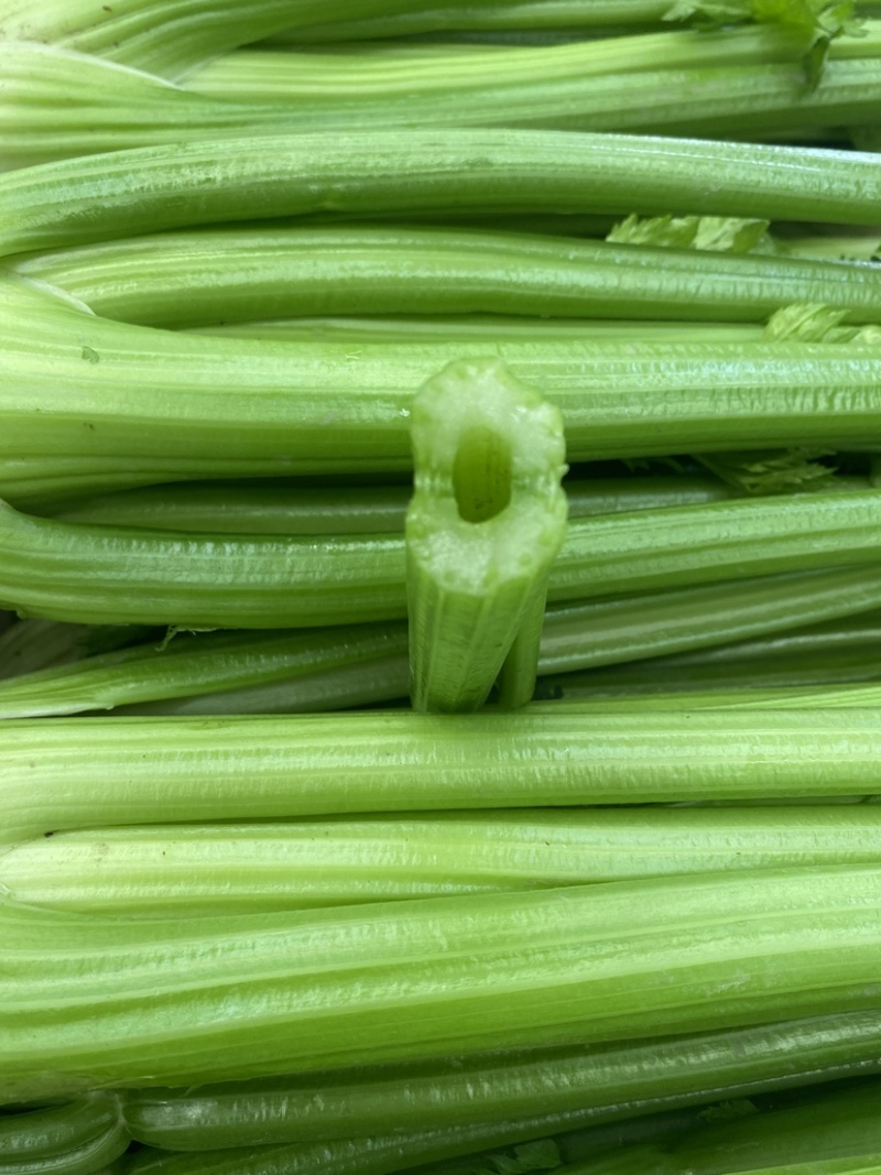 【精品西芹】寿光西芹榨汁水果西芹叶芹菜现割蔬菜量大发货
