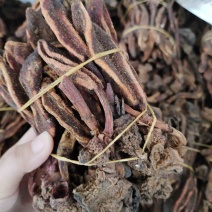 批发草苁蓉不老草