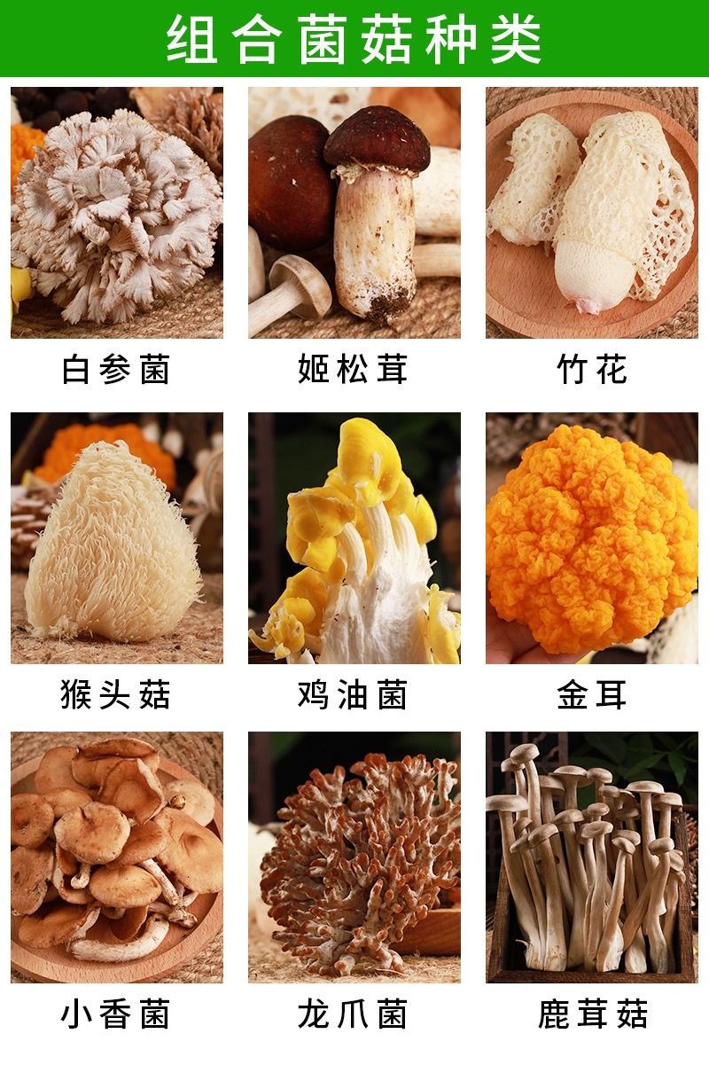 新鲜野生杂菌组合两斤装竹荪鸡油菌松茸香菌鸡枞珊瑚鹿茸菇