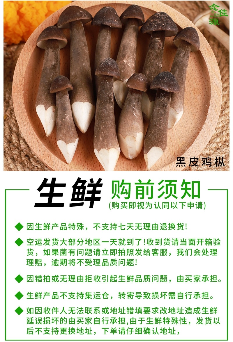 新鲜野生杂菌组合两斤装竹荪鸡油菌松茸香菌鸡枞珊瑚鹿茸菇