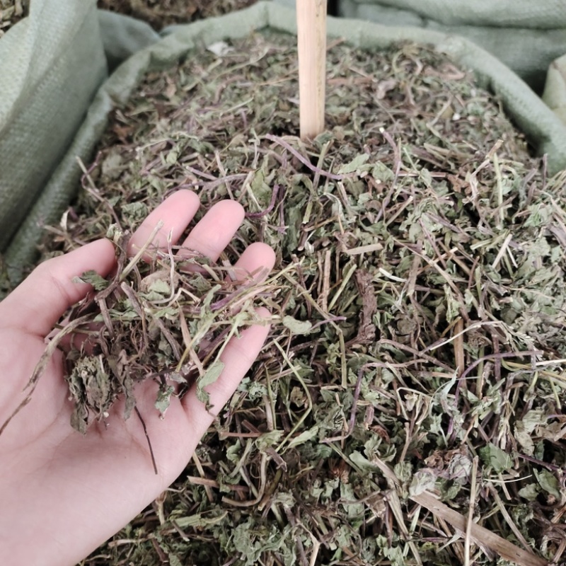 批发薄荷