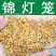 散装锦灯笼种子山姑娘红灯笼金姑娘甜姑娘种子包邮