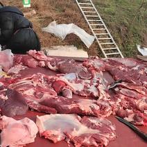 【推荐】10斤起售牛肉跑山鲜牛肉品质保证可视频看货