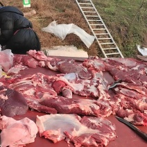 【推荐】10斤起售牛肉跑山鲜牛肉品质保证可视频看货