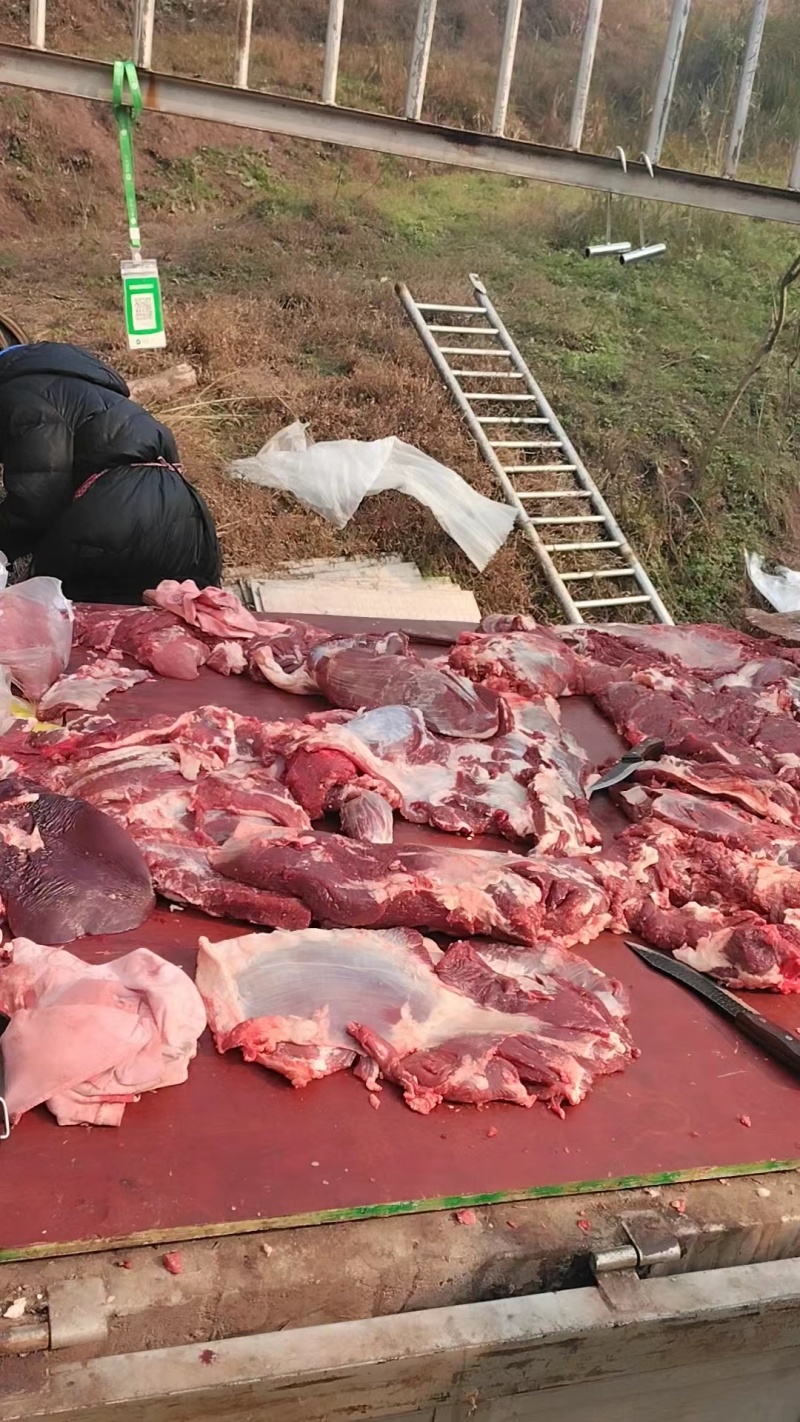 【推荐】10斤起售牛肉跑山鲜牛肉品质保证可视频看货