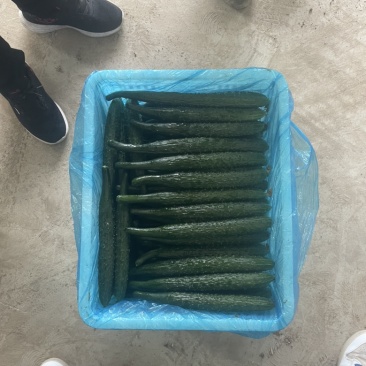 次品黄瓜，食堂货
