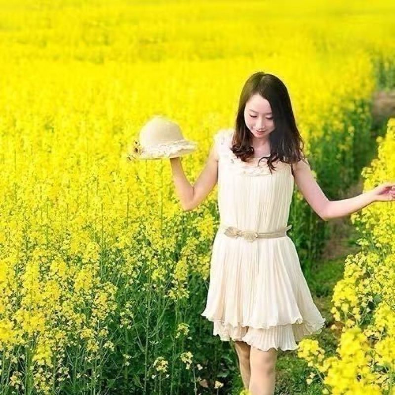 四季油菜籽景观型观赏油菜花种子高产可榨油菜种籽花海易种
