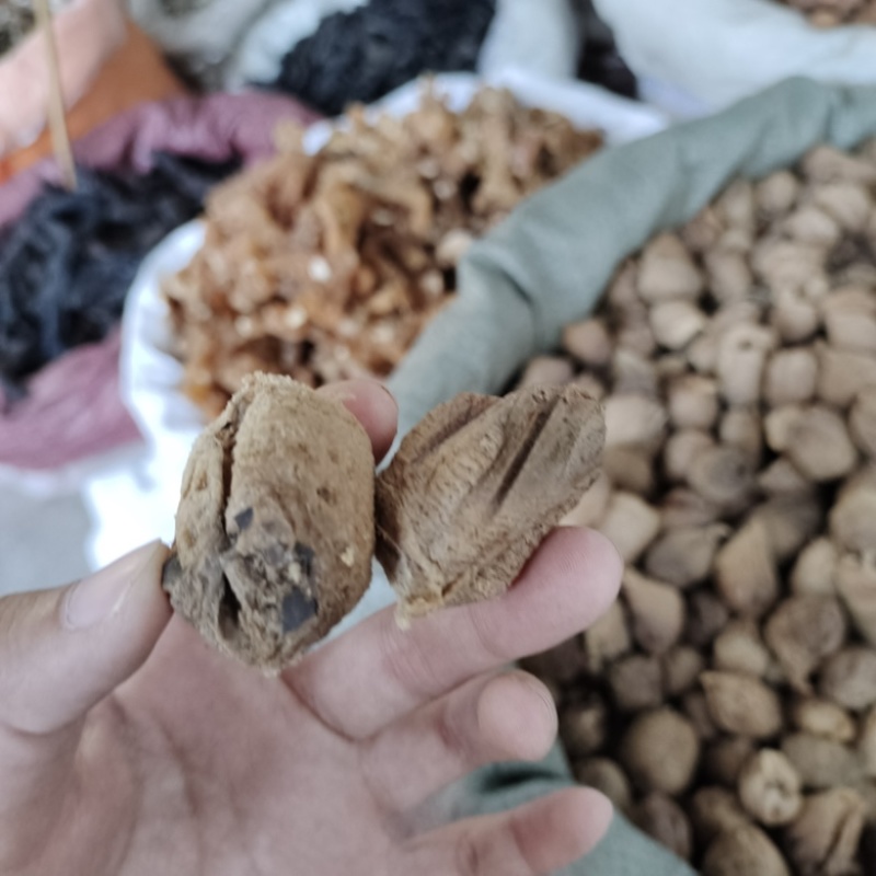 批发桑螵蛸