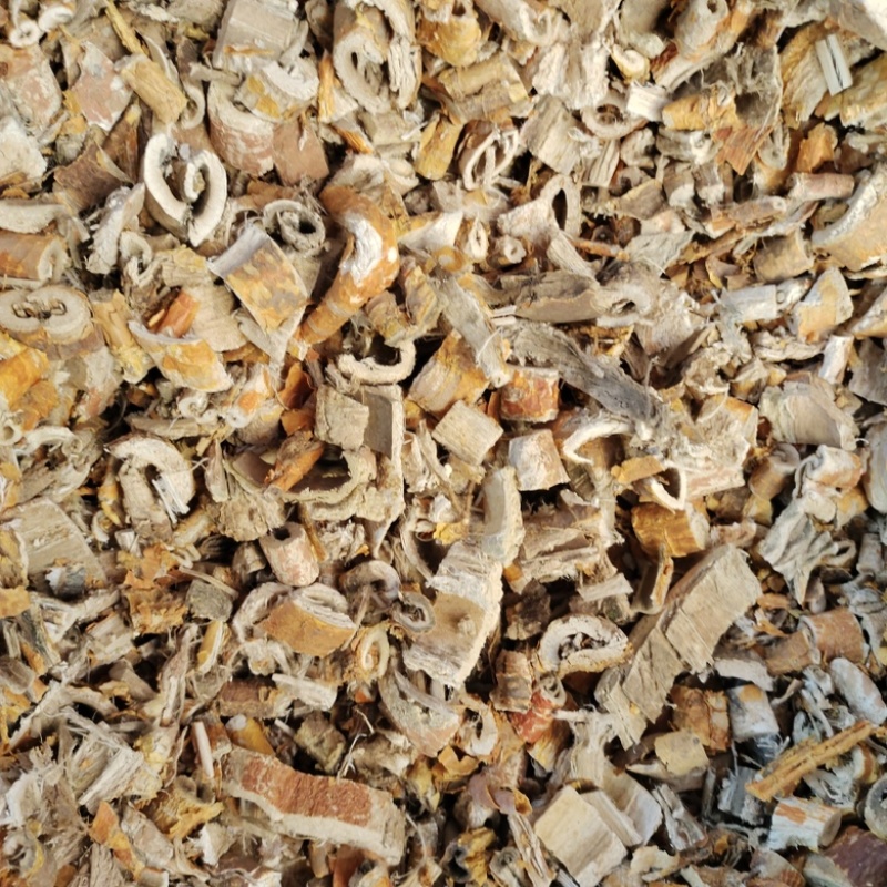 批发桑白皮