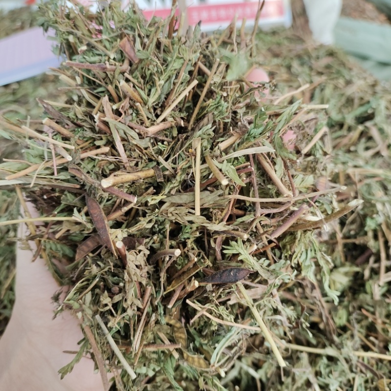 批发软肝草