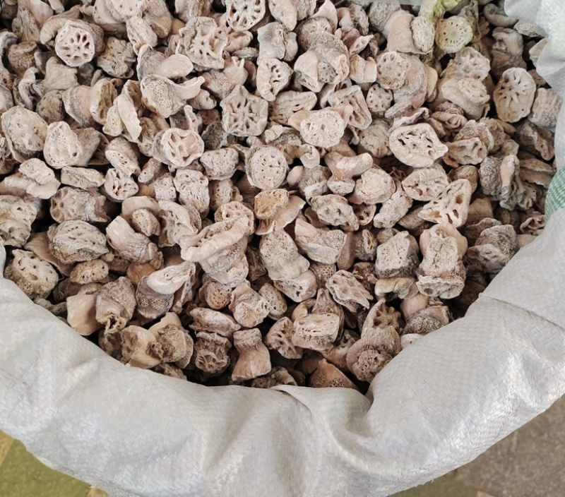 批发藕节