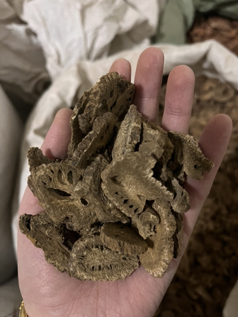 木香广木香云木香货源充足量大从优质量保证