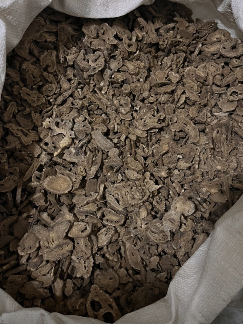 木香广木香云木香货源充足量大从优质量保证