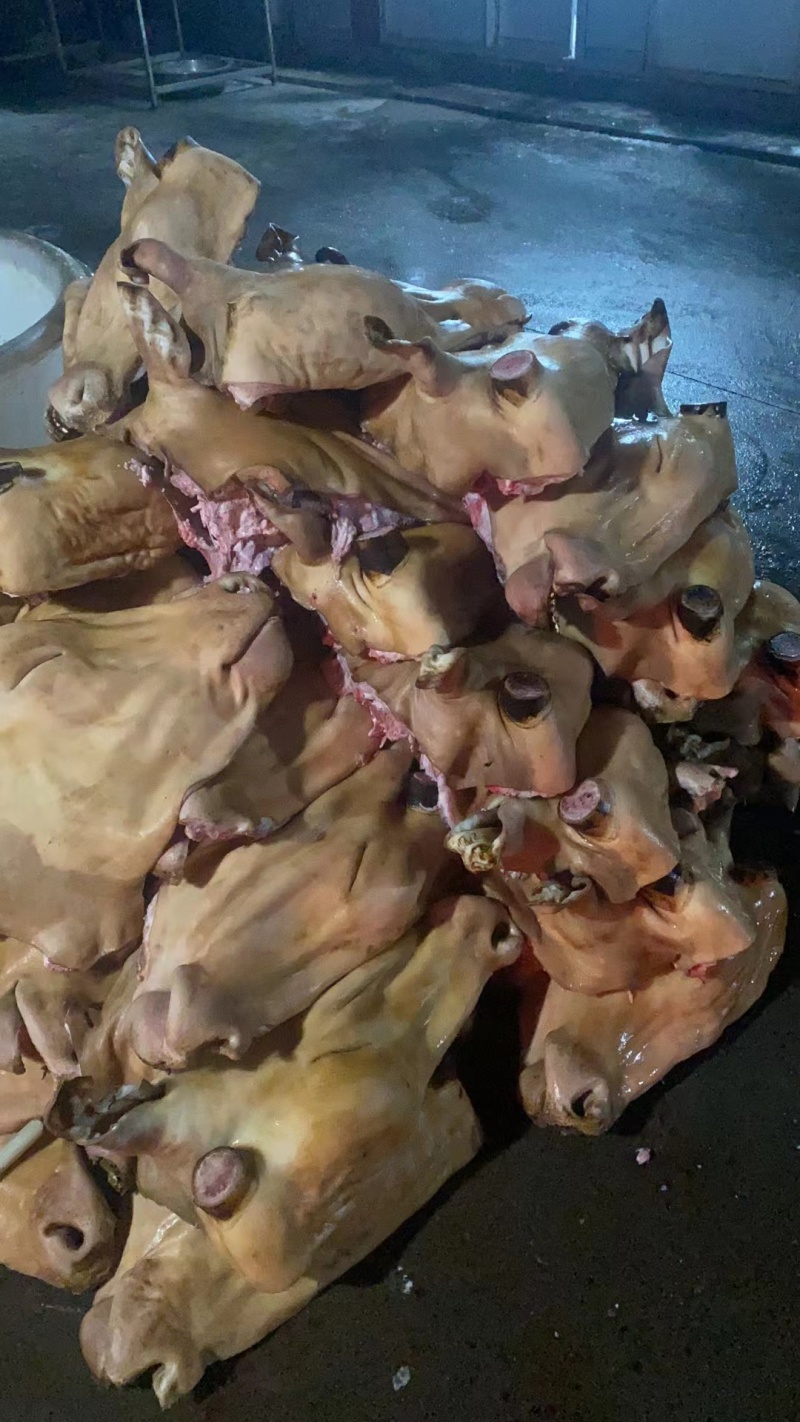 山东产地冷链包邮火烧毛五香熟牛头肉牛头肉欢迎咨询