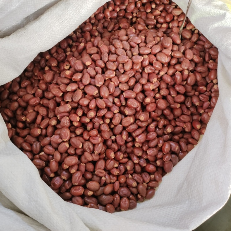 批发荔枝核