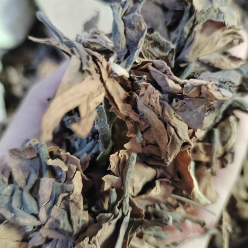 批发鸡蛋花