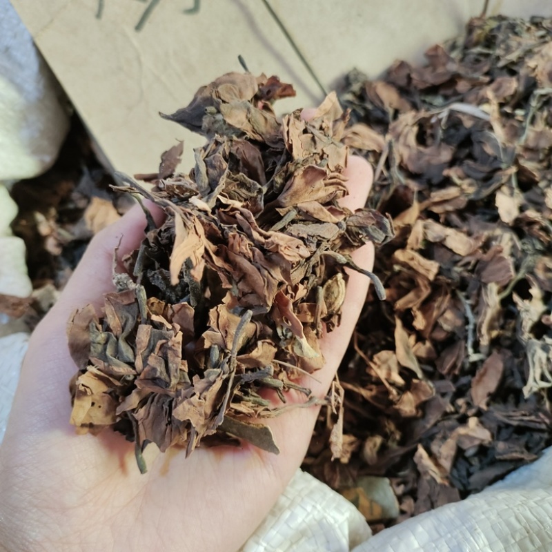 批发鸡蛋花