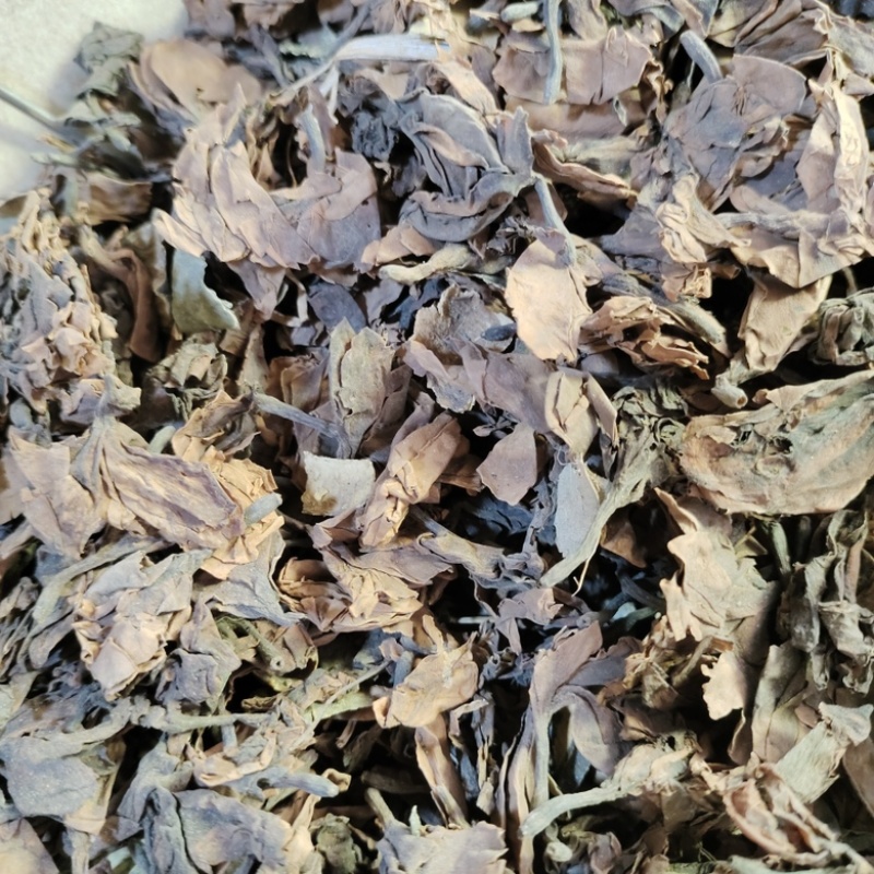 批发鸡蛋花