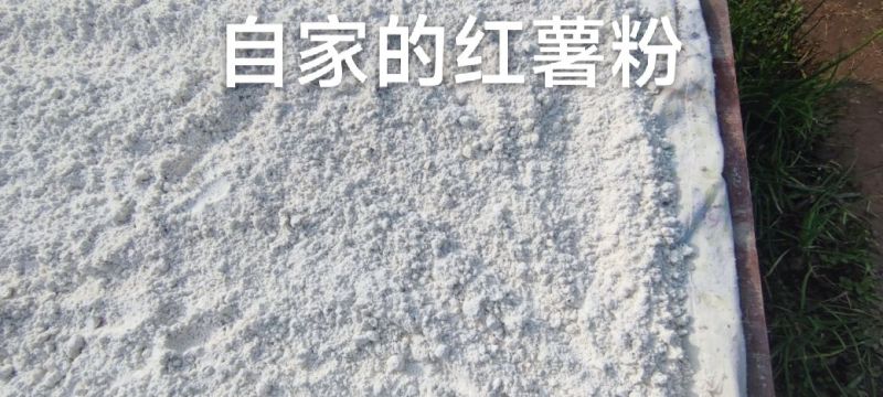 四川纯红薯粉