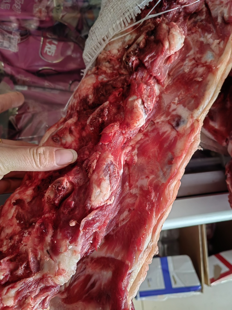 国产带肉牛大梁山东滨州优质好货冷链包邮欢迎咨询下单