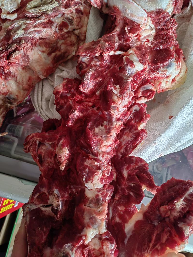 国产带肉牛大梁山东滨州优质好货冷链包邮欢迎咨询下单