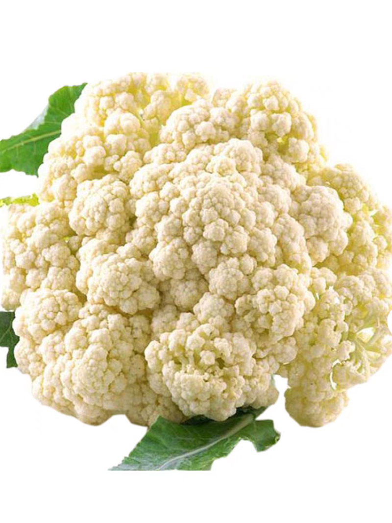 【荐】菜花湖北松花菜现摘现发量大价优产地货源