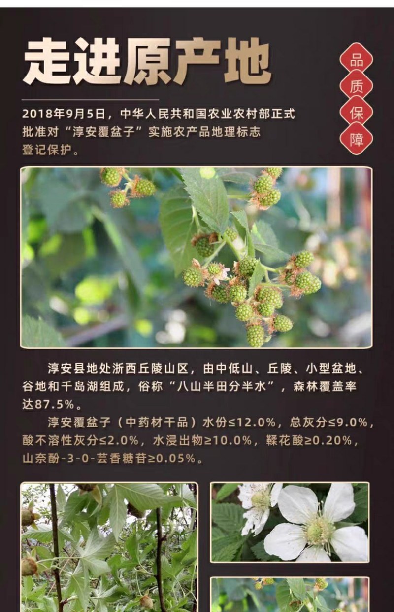 新货野外生长覆盆子特级中药材配沙苑子效果更佳覆盆子