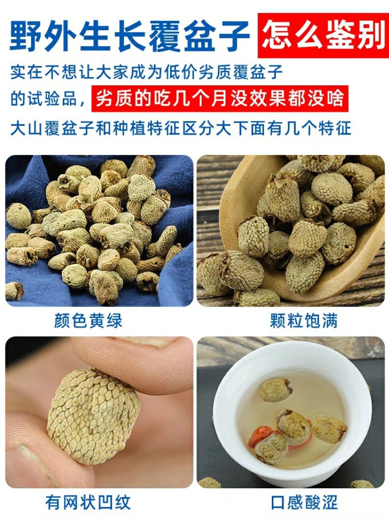 新货野外生长覆盆子特级中药材配沙苑子效果更佳覆盆子