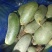 山东袋，箱装水果萝卜菜萝卜精品货大量，无康无烂电商超市！