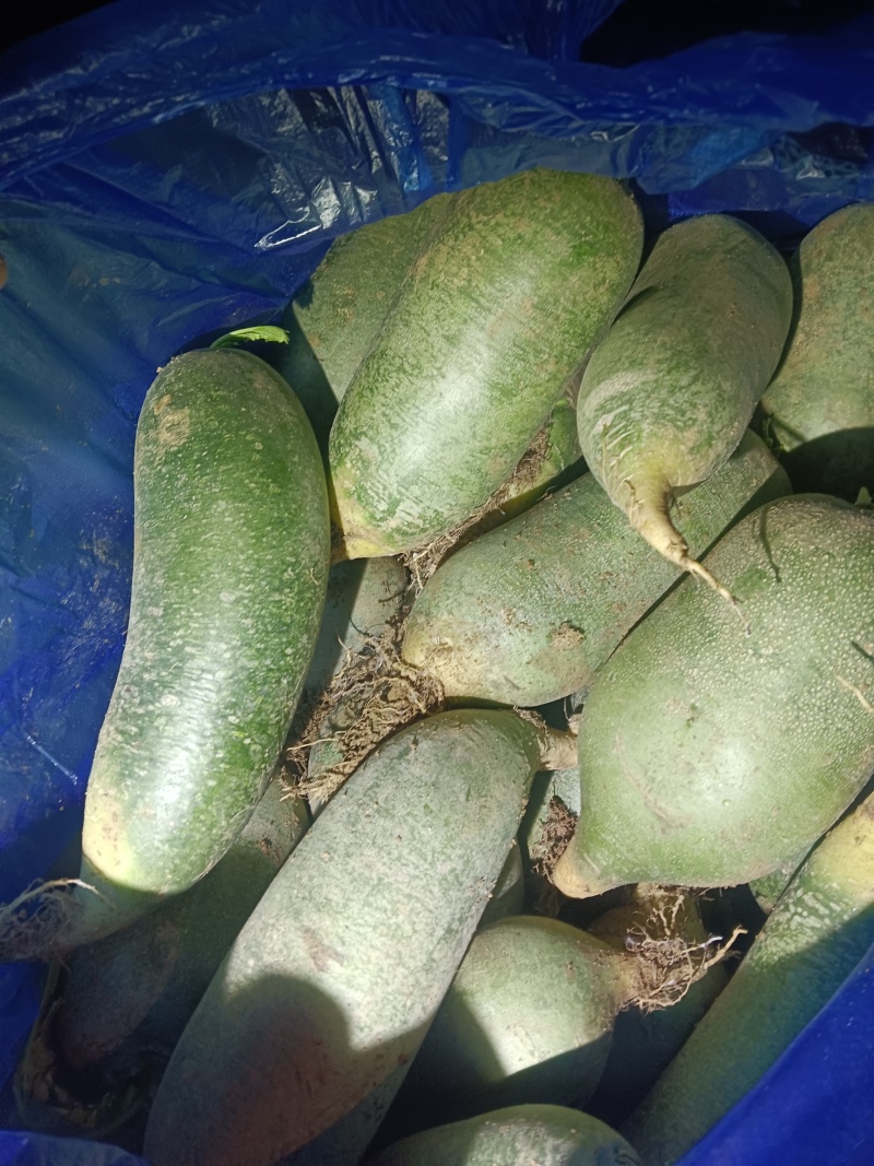 山东袋，箱装水果萝卜菜萝卜精品货大量，无康无烂电商超市！