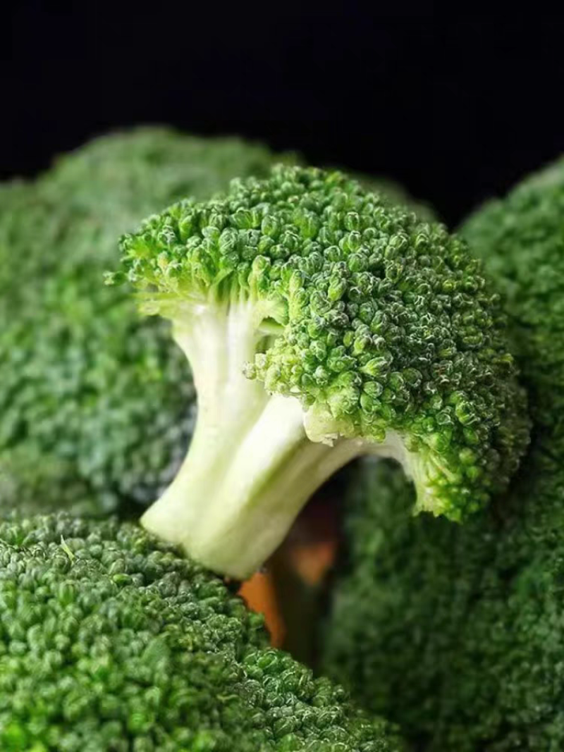 【牛商推荐】西兰花新鲜上市（好货）现摘现发产地货源