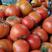 西红柿大量上市中货源充足量大从优可供商超市场批发