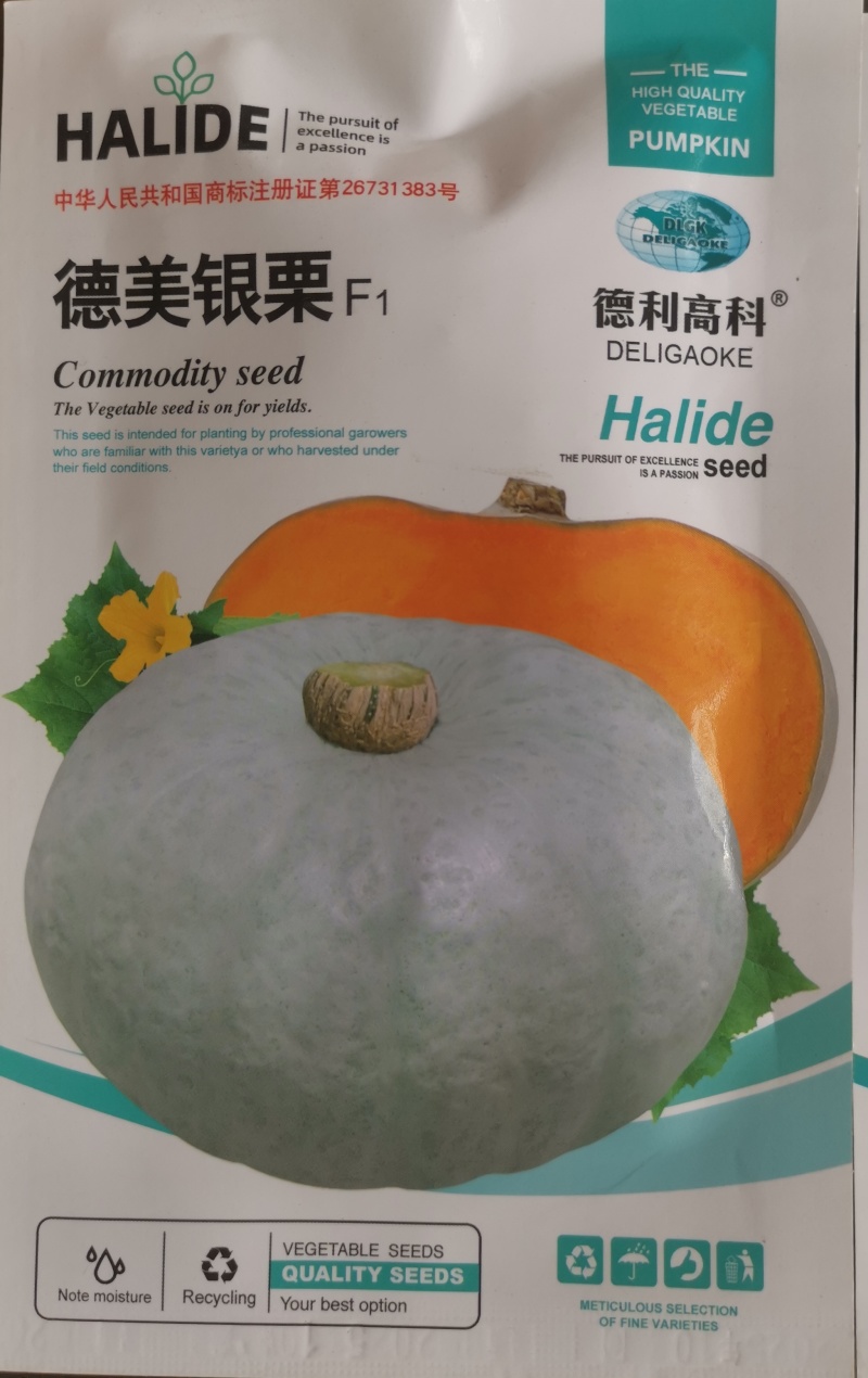 银栗南瓜种子，软糯香甜，板栗味