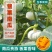 银栗南瓜种子，软糯香甜，板栗味