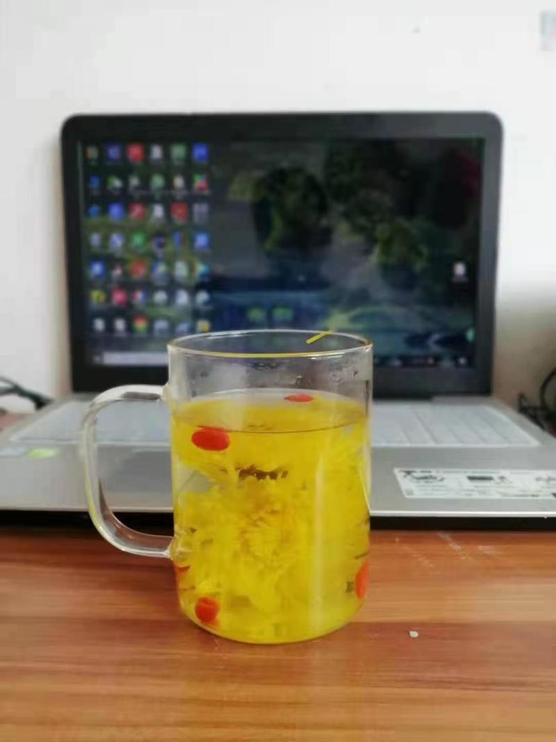 金丝皇菊一朵一杯特惠装大量批发各种各样的小朵包装走量