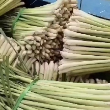 柠檬香茅草
