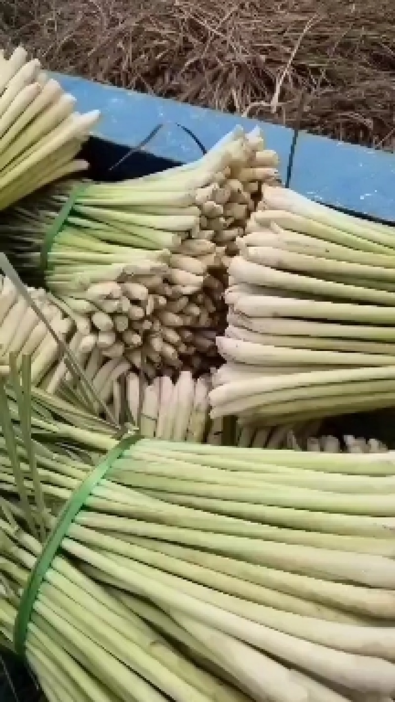 柠檬香茅草