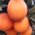 奉节脐橙72-1大量有货承接电商商超加工市场批发专业代办