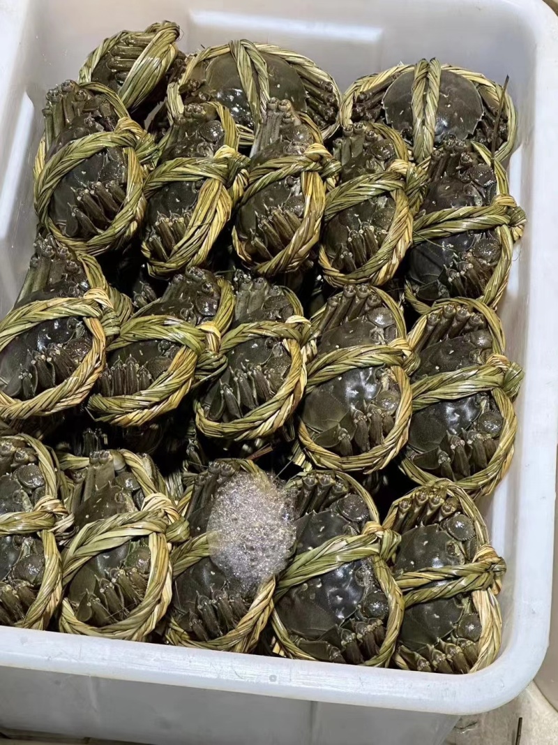 溱湖簖蟹，一件代发，礼盒装，价格优惠可视频看货