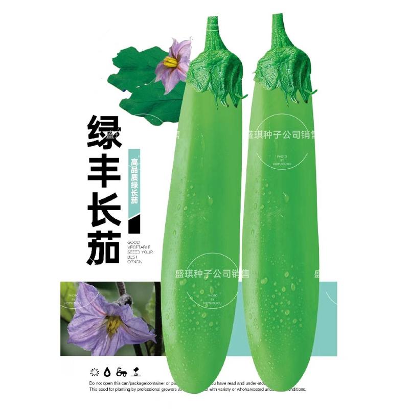 绿丰长茄种子绿皮绿萼果肉白色果长28-30厘米