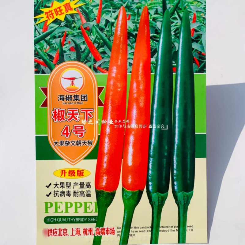 南方热销椒天下4号朝天椒种子泰国进口大果型椒把长抗病耐热