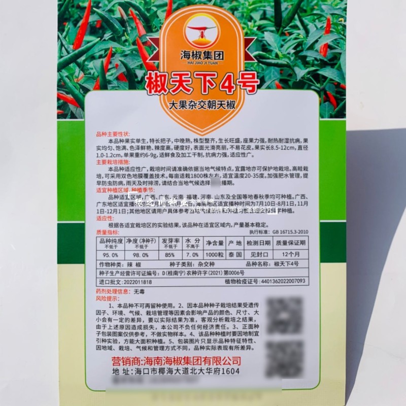 南方热销椒天下4号朝天椒种子泰国进口大果型椒把长抗病耐热