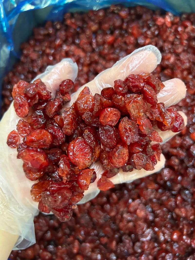 【包邮】新鲜蔓越莓干厂家直销蔓越莓干果干蜜饯水果果脯批发