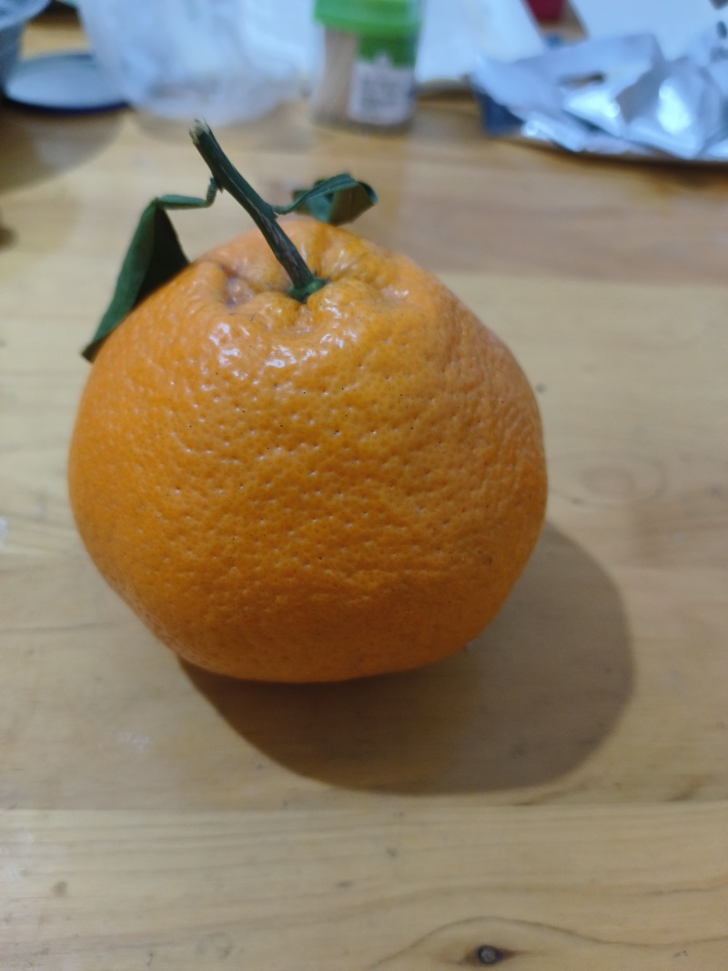 【精品】粑粑柑，产地直发质量保证，货源充足欢迎选购