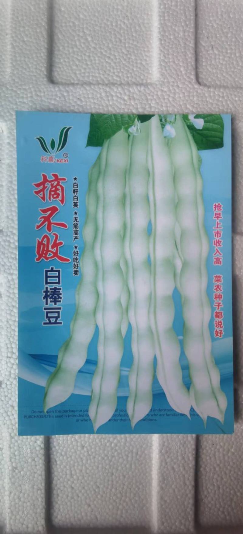 四季豆种子摘不败白棒豆早熟白荚白籽粗大肉厚无筋好吃