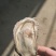 乳山生蚝，原产地发货，精美的品质，优惠的价格。欢迎洽谈合