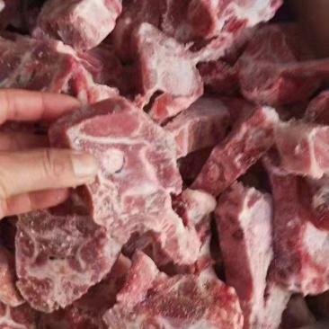 多肉羊蝎子