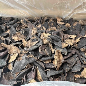老陈皮量大价优品质好厂家直销需要询价