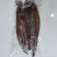 川味特产蛋黄猪肝、龙眼猪肝直销支持贴牌及一件代发